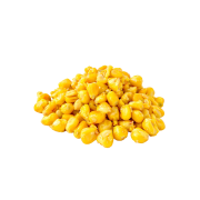 Projekt bez nazwy.png