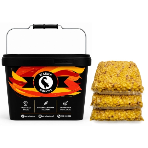 3X2KG GOTOWANA KUKURYDZA - ZESTAW ZIAREN KARPIOWYCH