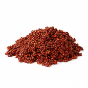 14.png