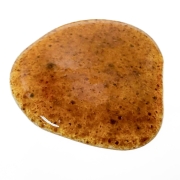 kukurydza-plama.jpg
